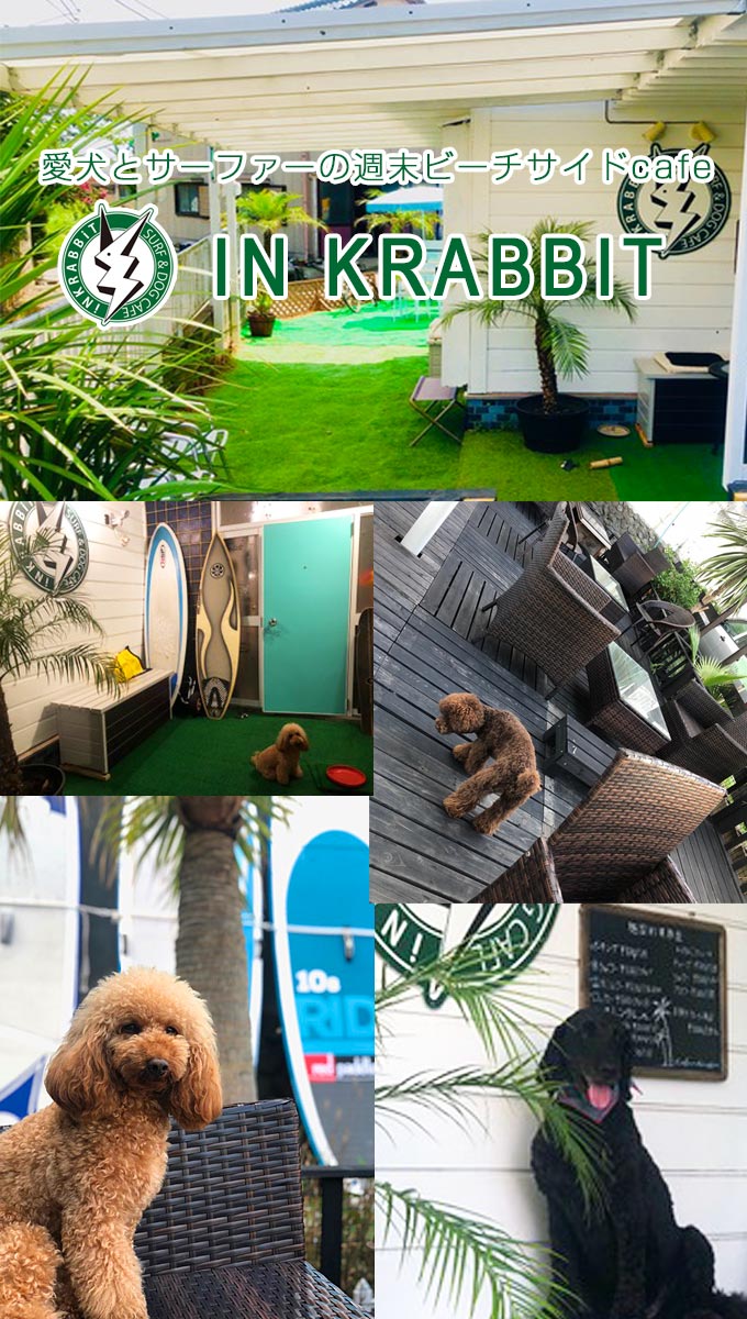 愛犬とサーファーの週末ビーチサイドcafe IN KRABBIT